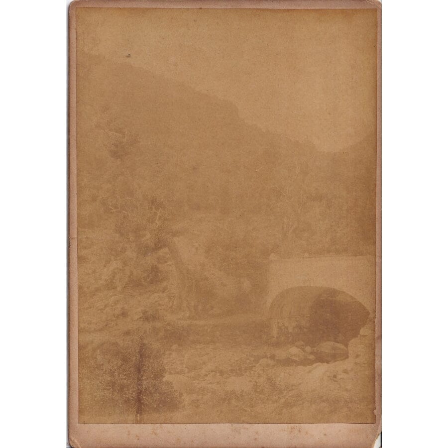 Fotografias antigas da Ilha de Madeira (século XIX) Autógrafos e dedicatórias Com certificado de autenticidade e garantia