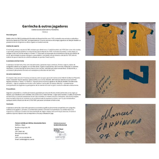 Pareceres técnicos Com certificado de autenticidade e garantia 